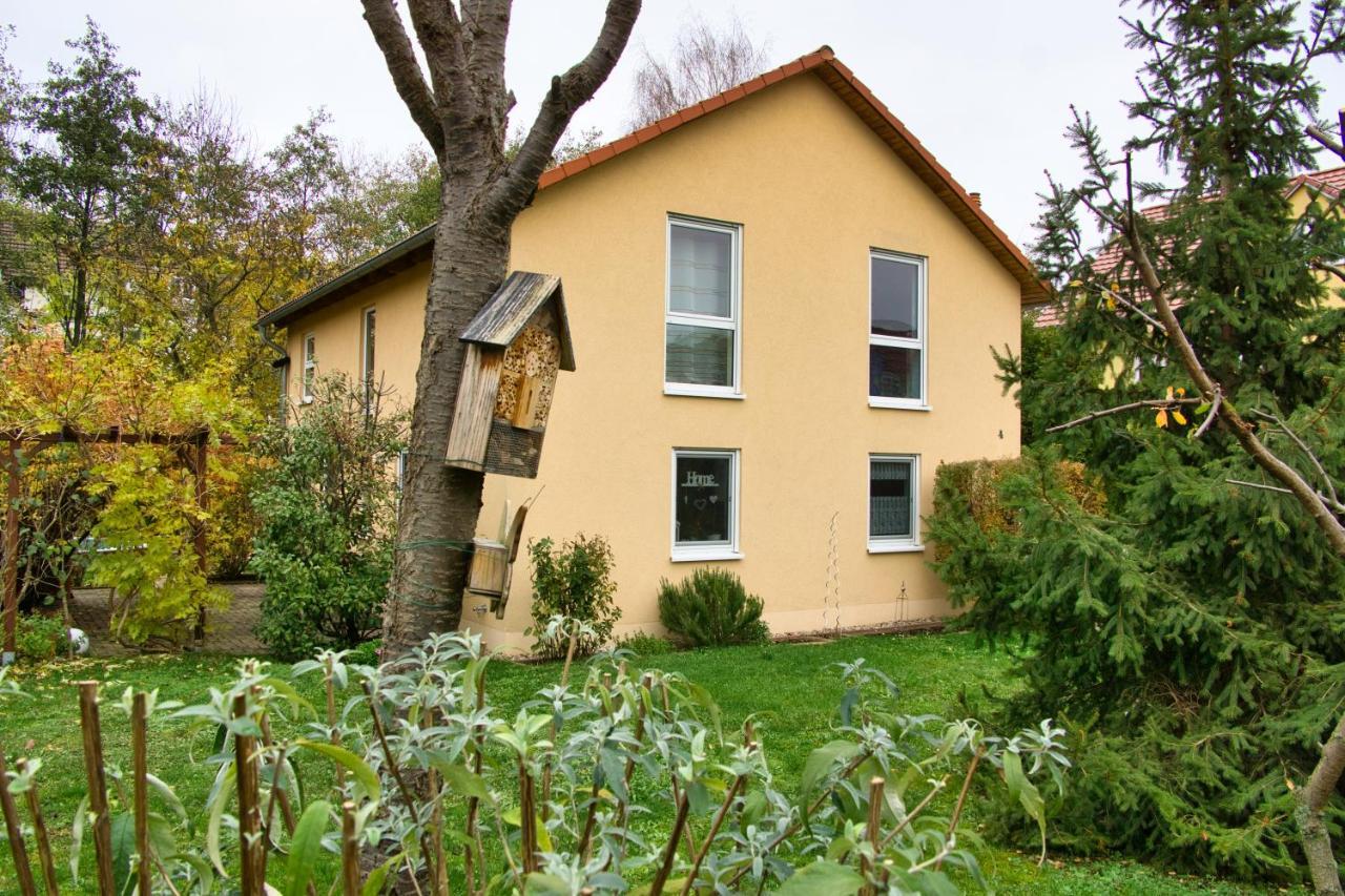 Mycozyplace - Gemuetliches Zimmer Fuer Zwei Dresden Eksteriør bilde